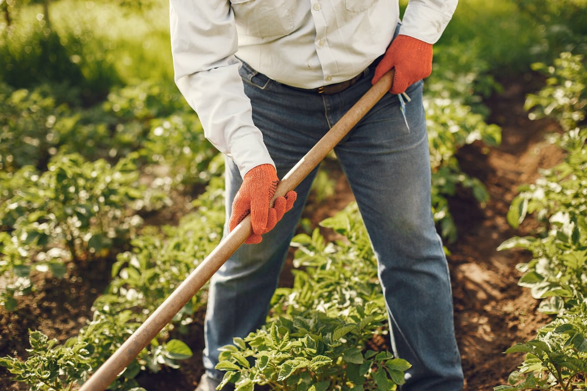 Person In White Dress Shirt And Blue Denim Jeans Holding Brown Wooden Stick